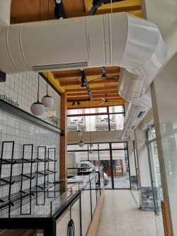 IMG_20241112_075538 (Medium)